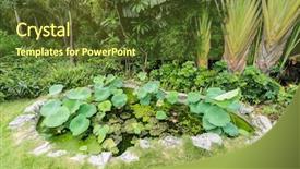  Presentation with feminine pad menstrual pads blood - Presentation consisting of pond with green lily pad background and a  colored foreground