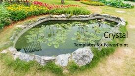  Presentation with lily - Beautiful presentation design featuring pond with green lily pad backdrop and a  colored foreground