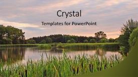  Presentation with pond - Audience pleasing presentation consisting of pond with reed and bulrush backdrop and a soft green colored foreground