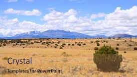  Presentation with landscape desert - Audience pleasing slides consisting of ponderosa pines - scenic desert landscape with humphreys backdrop and a coral colored foreground