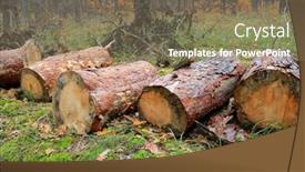  Presentation with forest - PPT theme with pone-wooden-logs-in-autumn background and a  colored foreground