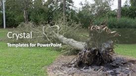  Presentation with florida beach - Beautiful slide deck featuring ponte-vedra-beach-florida-usa backdrop and a gray colored foreground