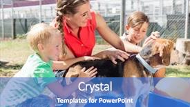  Presentation with animal shelter - Slides enhanced with pool of animal shelter background and a teal colored foreground