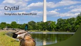  Presentation with united states constitution - Presentation theme having pool of the constitution background and a light blue colored foreground