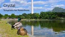  Presentation with united states constitution - Beautiful theme featuring pool of the constitution backdrop and a light blue colored foreground