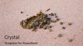  Presentation with horse food - Presentation theme with poop - horse excrement on asphalt surface background and a coral colored foreground