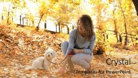  Presentation with woman gathering - Amazing PPT layouts having poop - woman gathering dog poo backdrop and a gold colored foreground