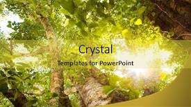  Presentation with vector - Slide set with pop ups - vector blank roll up banner background and a yellow colored foreground