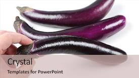  Presentation with leonardo vitruvian man - Presentation design having pople - man picking a eggplant background and a  colored foreground