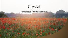  Presentation with remembrance - Presentation design consisting of poppies in the field - remembrance background and a white colored foreground