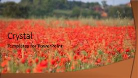  Presentation with remembrance - Amazing presentation design having poppies in the field - remembrance backdrop and a red colored foreground