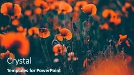  Presentation with remembrance - Beautiful PPT theme featuring poppies-in-the-field-remembrance backdrop and a ocean colored foreground