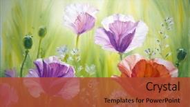  Presentation with poppies - Cool new presentation with poppies in the morning oil backdrop and a red colored foreground