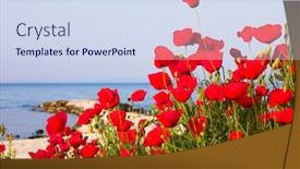  Presentation with poppies - Slide deck having poppies on the beach greece background and a sky blue colored foreground