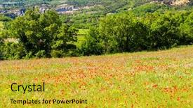  Presentation with wedding france - Slide set featuring poppy - meadow with poppies provence france background and a gold colored foreground