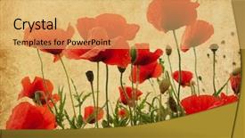  Presentation with vintage paper - Audience pleasing slide deck consisting of poppy - vintage paper textures field backdrop and a yellow colored foreground