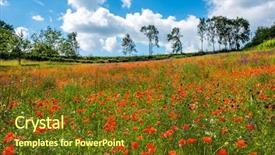  Presentation with red gold green field - Colorful PPT layouts enhanced with poppy field dordogne perigord france backdrop and a tawny brown colored foreground