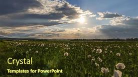  Presentation with czech republic - Theme having poppy-field-during-sunset-near and a tawny brown colored foreground
