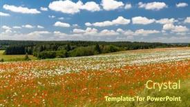  Presentation with czech republic - Slide set enhanced with poppy-field-vysoocina-near-zdar background and a tawny brown colored foreground