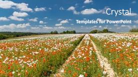  Presentation with czech republic - Presentation design featuring poppy-field-vysoocina-near-zdar background and a teal colored foreground