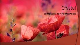  Presentation with poppy - Cool new presentation theme with bio engineering - gmo professional in uniform goggles backdrop and a violet colored foreground