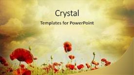  Presentation with poppy - Cool new presentation with poppy flower in the sky backdrop and a blonde colored foreground