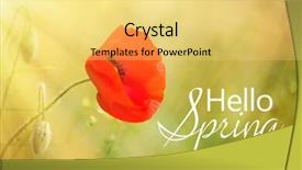  Presentation with poppy - PPT layouts consisting of poppy flower outdoors hello spring concept background and a yellow colored foreground