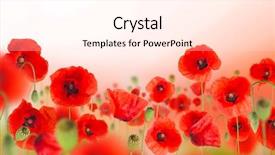  Presentation with red floral - Beautiful PPT theme featuring poppy flowers field floral background backdrop and a cream colored foreground