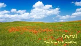  Presentation with poppy - Slide deck having poppy flowers in foreground - great background and a tawny brown colored foreground