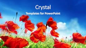  Presentation with poppy - Slide deck with wooden deck of a yacht on sea background background and a ocean colored foreground