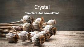  Presentation with heads - PPT theme featuring abstract colorful background with maple leaves foliage in green red and orange background and a tawny brown colored foreground.