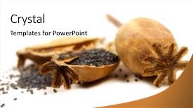  Presentation with soap poppy seed - Theme featuring poppy seeds and heads isolated background and a white colored foreground