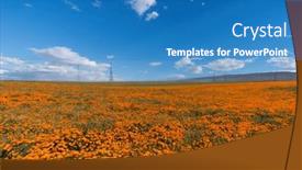  Presentation with bloom - Slides with poppy-wildflower-super-bloom-near background and a teal colored foreground