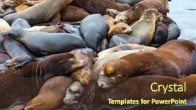  Presentation with san francisco - Slides with popular-tourist-destination-in-usa background and a tawny brown colored foreground