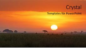  Presentation with social media - PPT theme enhanced with populard social media banner format background and a gold colored foreground