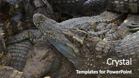  Presentation with water irrigation pivot frre - Slide set with population explosion - crocodiles in water in thailand background and a dark gray colored foreground