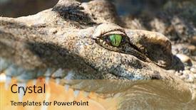  Presentation with thailand - Cool new slide deck with population explosion - crocodiles in water in thailand backdrop and a yellow colored foreground