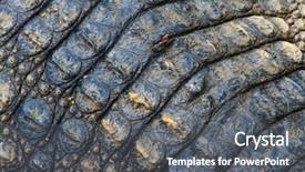  Presentation with cancer cell skin - PPT theme with population explosion - crocodiles skin close up background and a gray colored foreground