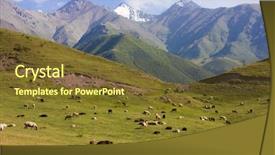  Presentation with population - Slides featuring population explosion - sheeps background and a tawny brown colored foreground