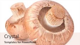  Presentation with champignon mushroom - Colorful slides enhanced with  backdrop and a  colored foreground
