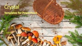  Presentation with barn wood autumn apples - Beautiful presentation featuring spor - mushrooms on wooden background card backdrop and a coral colored foreground