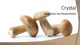  Presentation with mushrooms - Slide deck consisting of  background and a  colored foreground