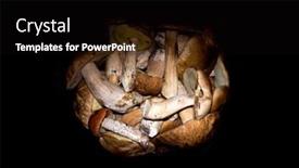  Presentation with mushroom - Presentation with porcini nature vegetable mushroom background and a black colored foreground