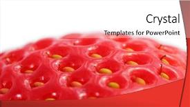  Presentation with economics macro - Audience pleasing PPT layouts consisting of pore space - strawberry close-up isolated on white backdrop and a white colored foreground