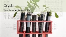  Presentation with plants growing - Theme consisting of poriodic table - botanical research plants growing background and a  colored foreground