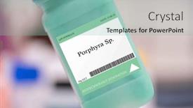  Presentation with microalgae - Presentation theme with porphyra-sp-microalgae-used background and a seafoam green colored foreground