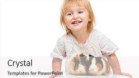  Presentation with pigs - Slides consisting of porpoise - little cute baby girl background and a white colored foreground