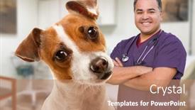  Presentation with russell - Beautiful presentation design featuring portait-of-an-adorable-jack backdrop and a coral colored foreground