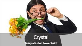  Presentation with portfolio - Amazing theme having portfolio chef - handsome businessman with flower backdrop and a dark gray colored foreground