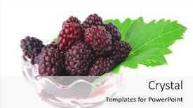  Presentation with lead - Beautiful presentation theme featuring portion of wild berry on green lead over white backdrop and a white colored foreground